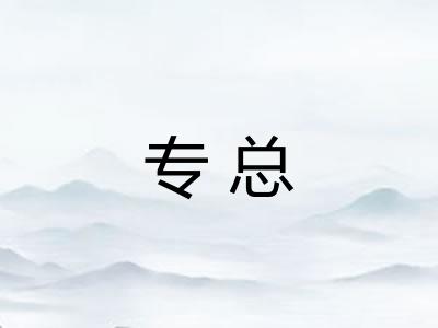 专总
