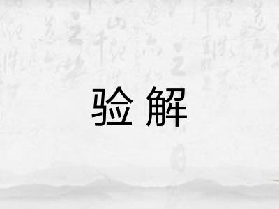 验解