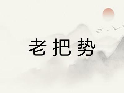 老把势
