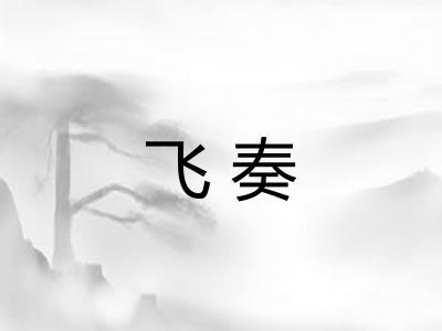 飞奏