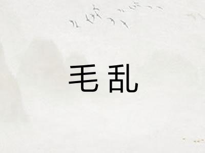 毛乱