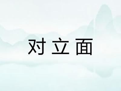对立面