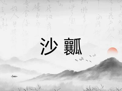 沙瓤