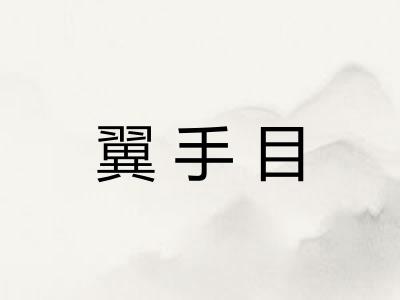 翼手目