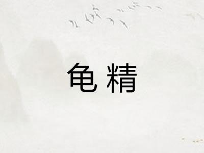 龟精