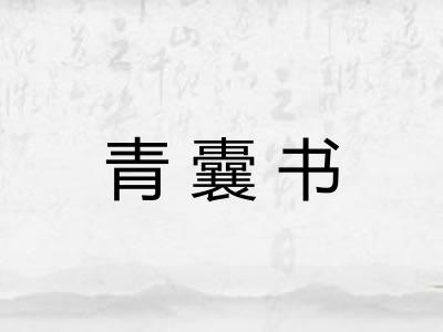 青囊书