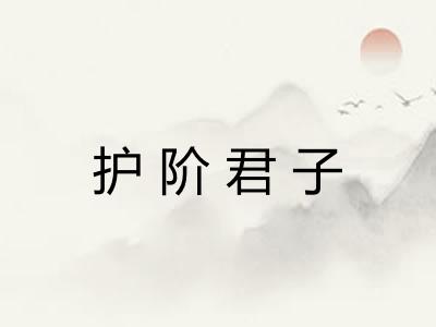 护阶君子