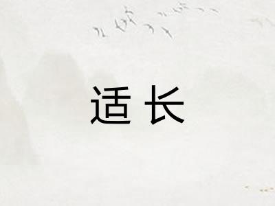 适长