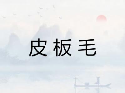 皮板毛