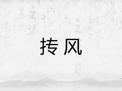 抟风