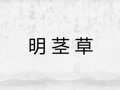 明茎草