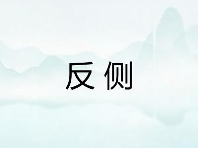 反侧