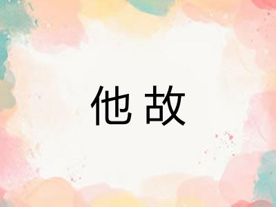他故