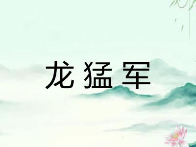 龙猛军