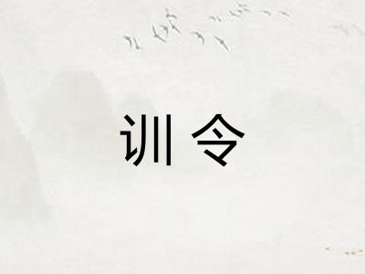 训令