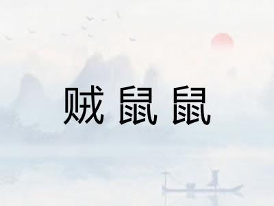 贼鼠鼠