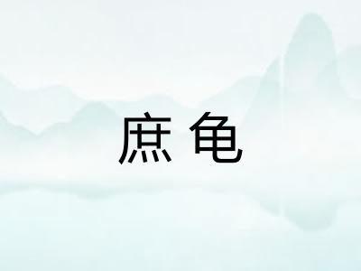 庶龟