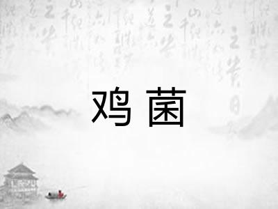 鸡菌