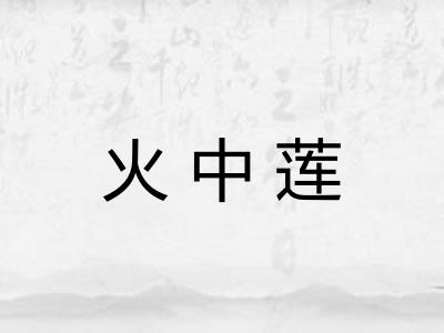 火中莲