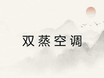 双蒸空调
