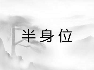 半身位