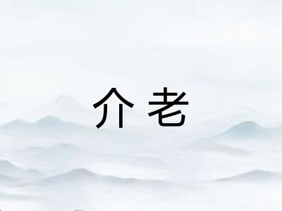 介老