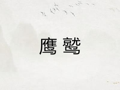 鹰鹫
