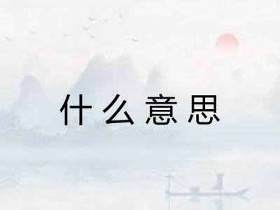 什么意思