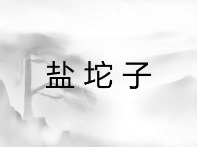 盐坨子