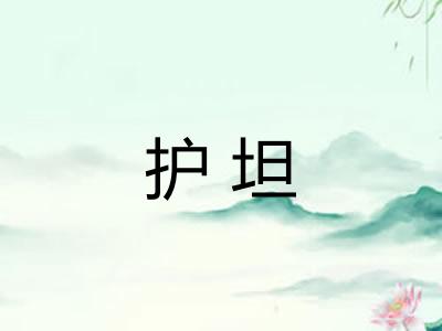 护坦