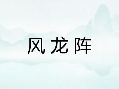 风龙阵