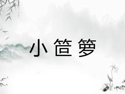 小笸箩