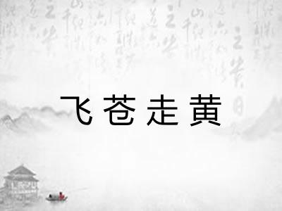 飞苍走黄