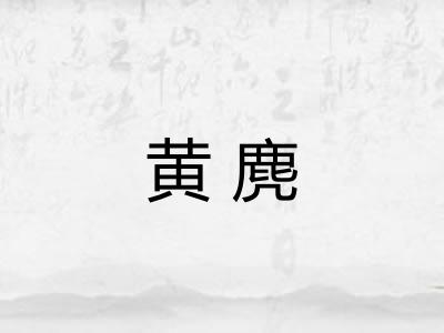 黄麂