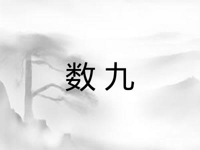 数九