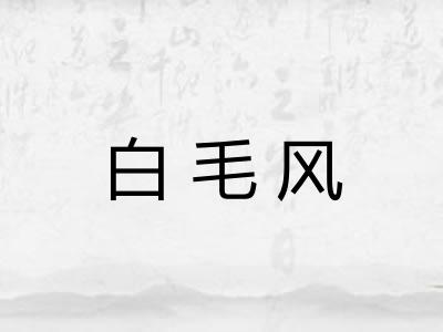 白毛风