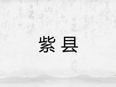 紫县