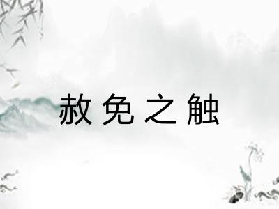 赦免之触