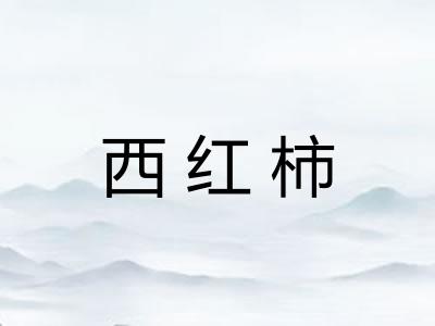 西红柿
