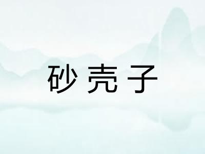 砂壳子