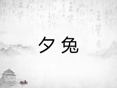 夕兔