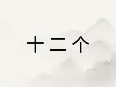 十二个