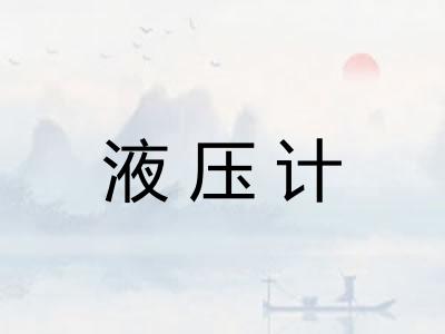液压计