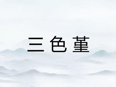 三色堇