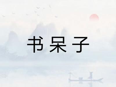书呆子