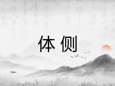 体侧