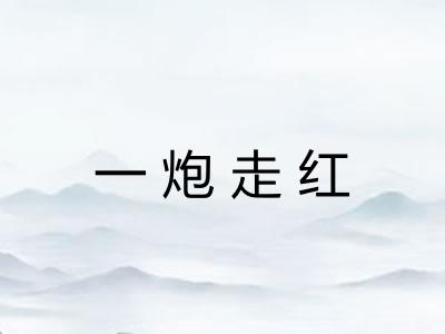 一炮走红