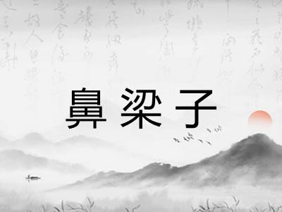 鼻梁子