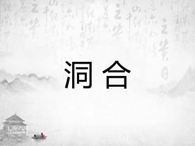 洞合