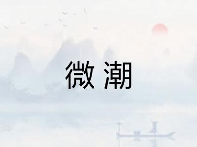 微潮